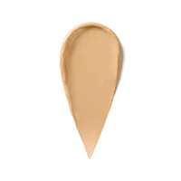 Skin Full Cover Concealer