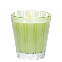 Lime Zest & Matcha Candle