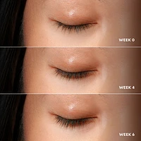 Long & Strong Lash Serum