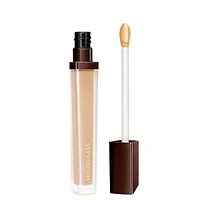 Vanish Airbrush Concealer