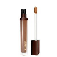 Vanish Airbrush Concealer