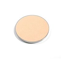 Lasting Eye Shade Refill