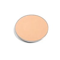 Lasting Eye Shade Refill