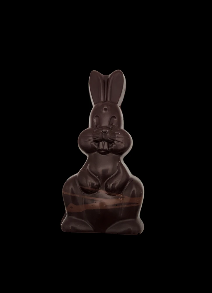 A-24x Dark chocolate rabbit bar 100gr, to be packaged, available while stocks last (3 to 4 weeks delivery time)