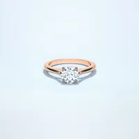 Couple Classic Thin 1ct Rose Gold