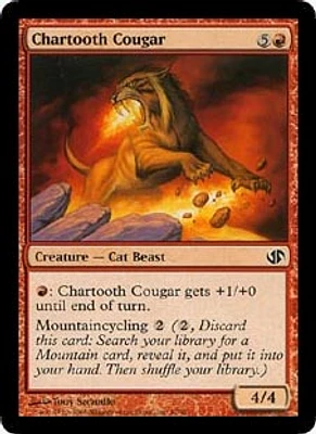 Chartooth Cougar