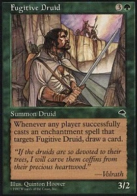 Fugitive Druid