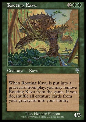 Rooting Kavu