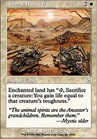 Animal Boneyard