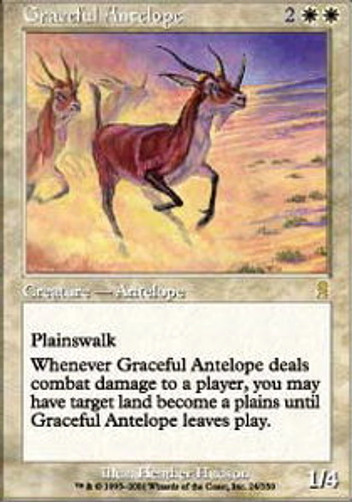 Graceful Antelope