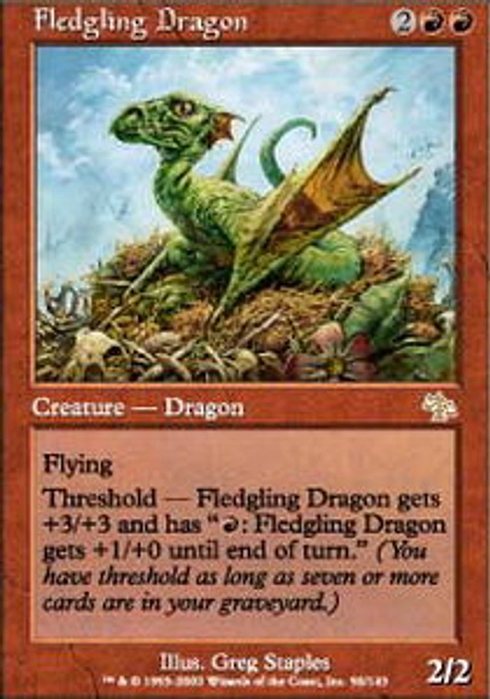 Fledgling Dragon