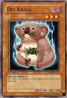 Des Koala - 5DS2-EN011 - Common - 1st Edition