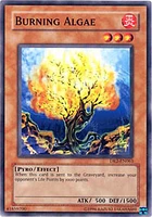 Burning Algae - DR2-EN063 - Common - Unlimited Edition