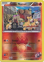 Team Magma's Numel - 1/34 - Common - Reverse Holo