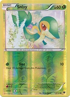 Snivy - 5/124 - Common - Reverse Holo