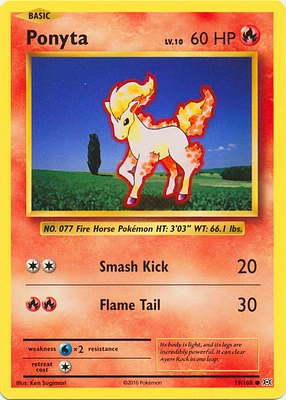 Ponyta