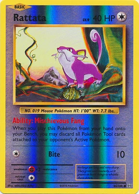 Rattata - 66/108 - Common - Reverse Holo