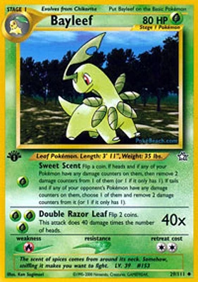 Bayleef - 29/111 - Uncommon - 1st Edition