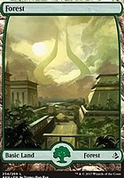 Forest (Full Art) - Foil