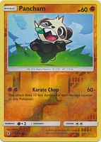 Pancham - 72/145 Common Reverse Holo