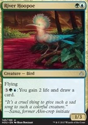 River Hoopoe - Foil