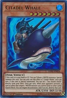 Citadel Whale - LEDU-EN016 - Ultra Rare - 1st Edition