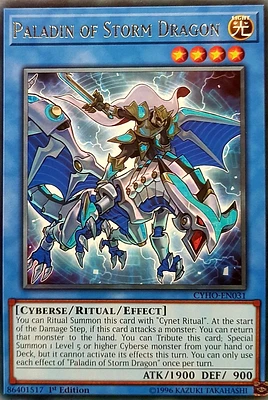 Paladin of Storm Dragon - CYHO-EN031 - Rare