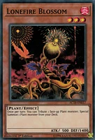 Lonefire Blossom - AC18-EN017 - Super Rare - 1st Edition