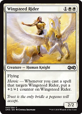 Wingsteed Rider - Foil