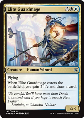 Elite Guardmage