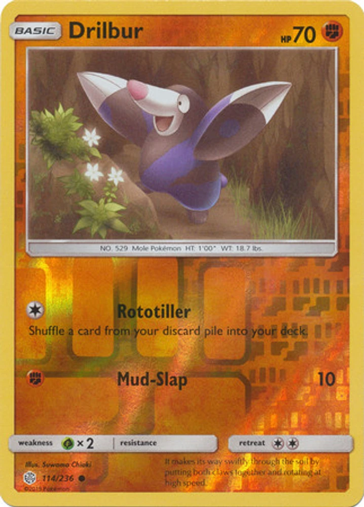 Drilbur - 114/236 - Common - Reverse Holo