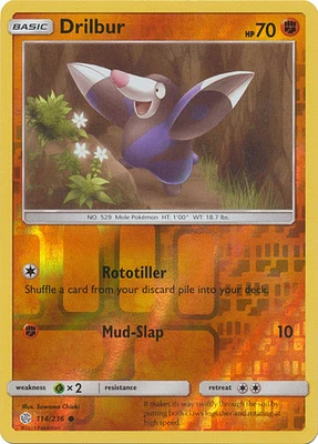 Drilbur - 114/236 - Common - Reverse Holo