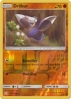 Drilbur - 114/236 - Common - Reverse Holo