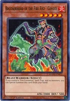 Brotherhood of the Fire Fist - Coyote - MAGO-EN072 - Rare - 1st Edition