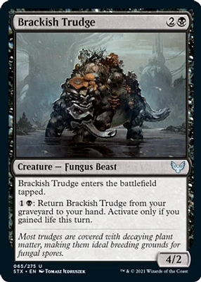 Brackish Trudge - Foil