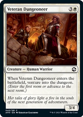 Veteran Dungeoneer