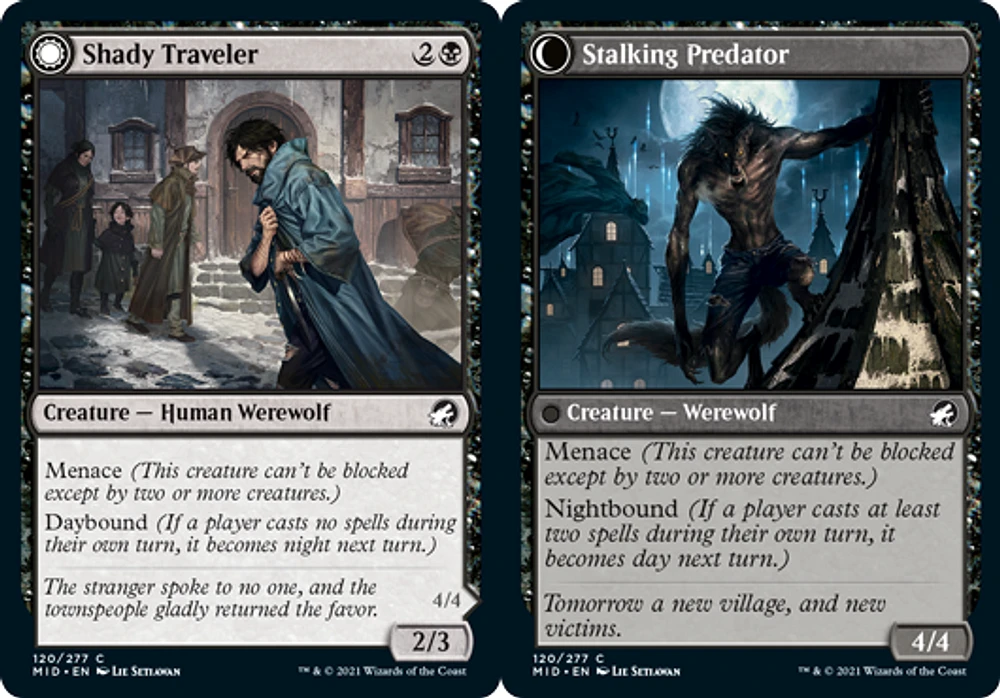 Shady Traveler // Stalking Predator