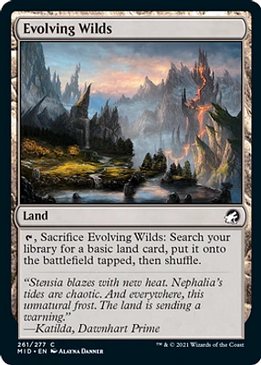 Evolving Wilds