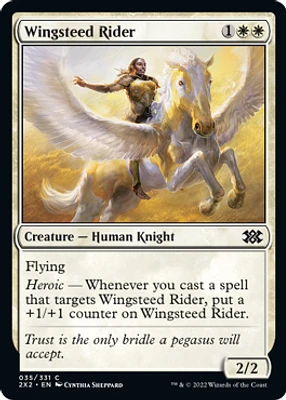 Wingsteed Rider - Foil