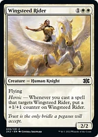 Wingsteed Rider - Foil