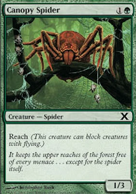 Canopy Spider - Foil