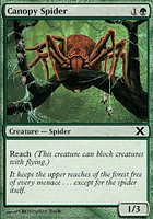 Canopy Spider - Foil