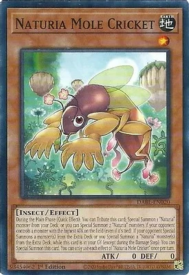 Naturia Mole Cricket - DABL-EN020 - Common - 1st Edition