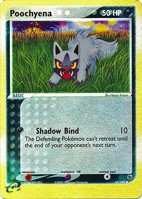 Poochyena - 65/109 Common Reverse Holo