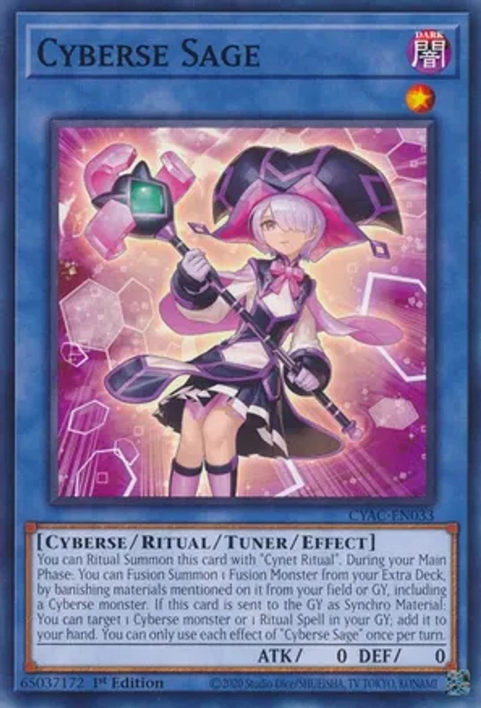 Cyberse Sage - CYAC-EN033 - Common - 1st Edition