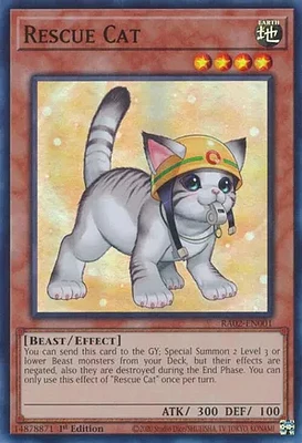 Rescue Cat (Alternate Art) - RA02-EN001 - Super Rare - 1st Edition