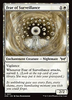 Fear of Surveillance - Foil