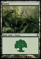 Forest (300) - Foil