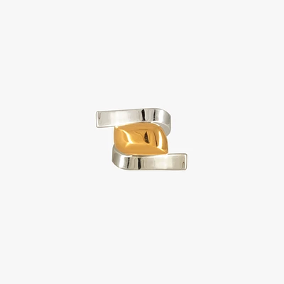 Anillo Pétreo