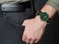 Captain Cook Bronze Green Dial 42MM Automatic R32504317